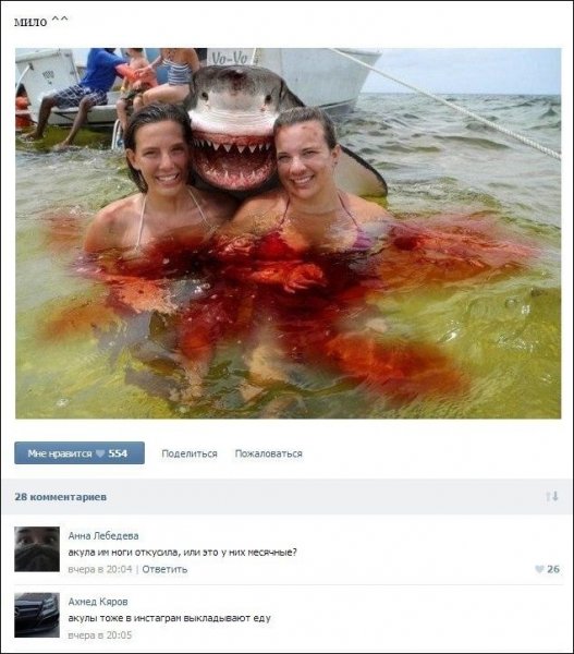 Прикольные комментарии соц сетей