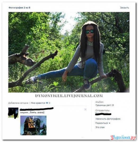 Самые смешные статусы из социальных сетей