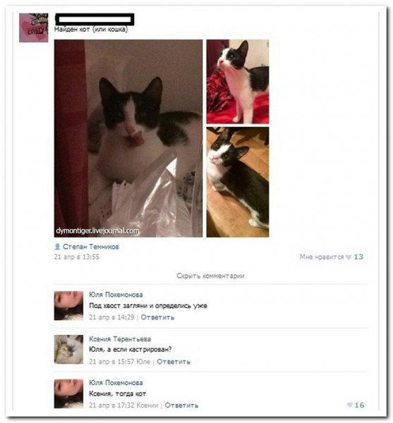 Прикольные комменты под