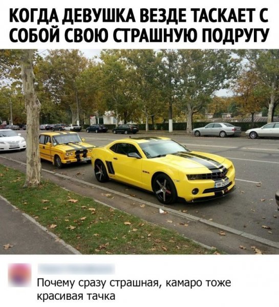 Юмор из социальных сетей