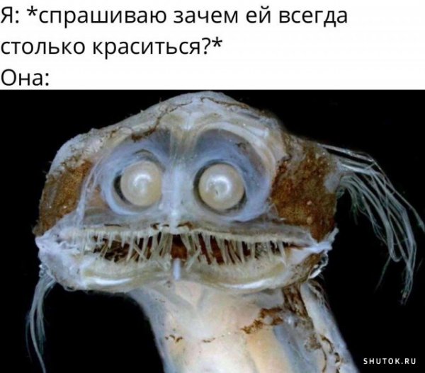 Картинки приколы комментарии