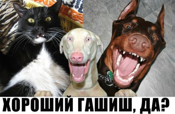 Придумай смешной комментарий