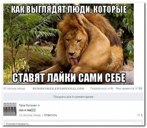 Приколы из соцсетей