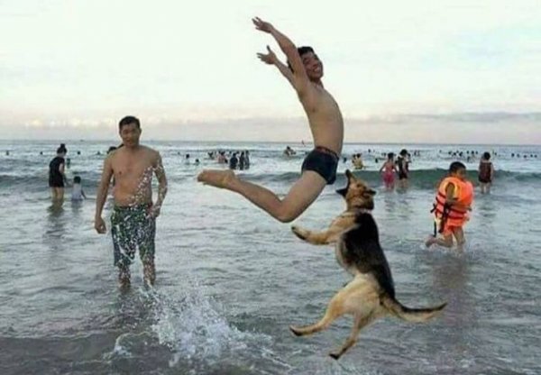 Смешные приколы про людей до слёз