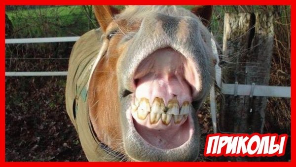 Мемы про школу новые 2020