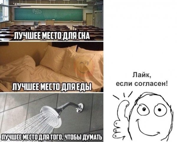 Смешные картинки до слёз
