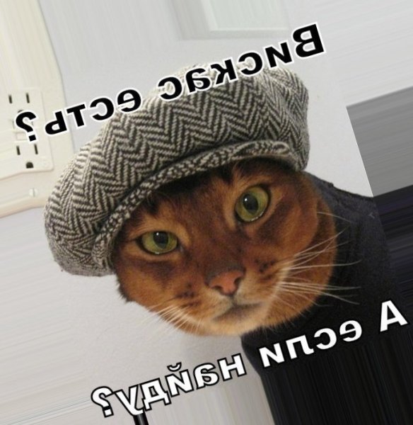 Смешные группы ватсап