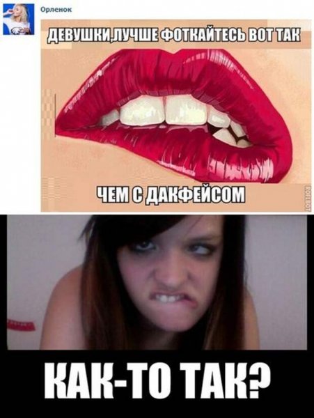 Смешные картинки для беседы