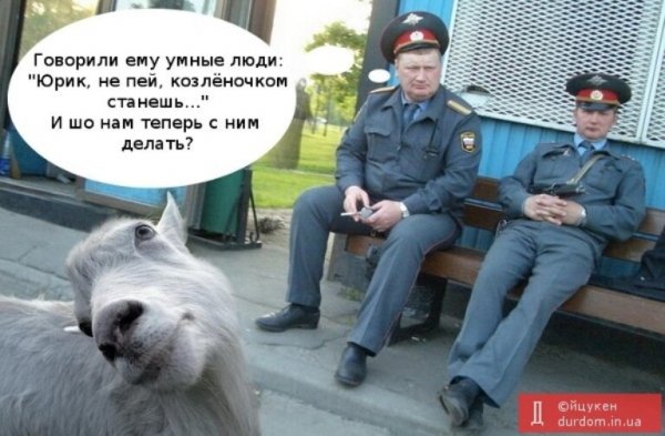 Мусора менты козлы