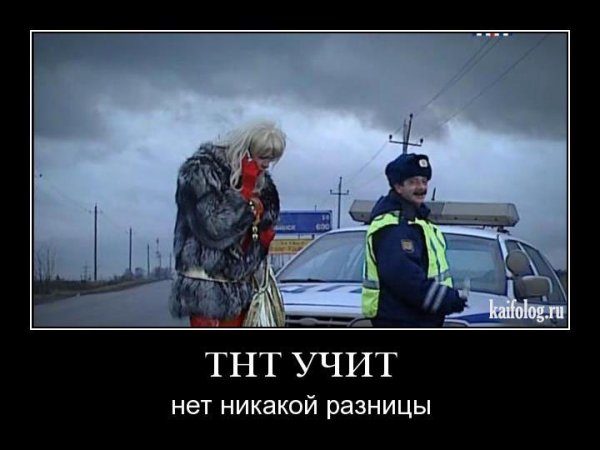 Приколы про гаишников