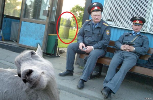 Мент козел