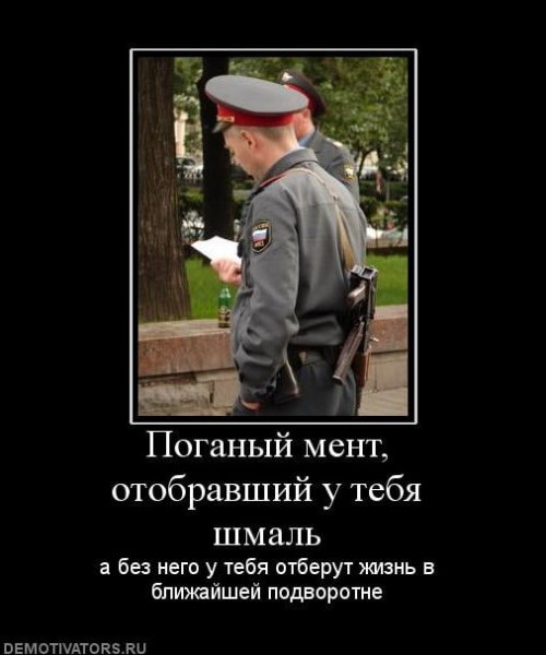 Смешные высказывания про ментов