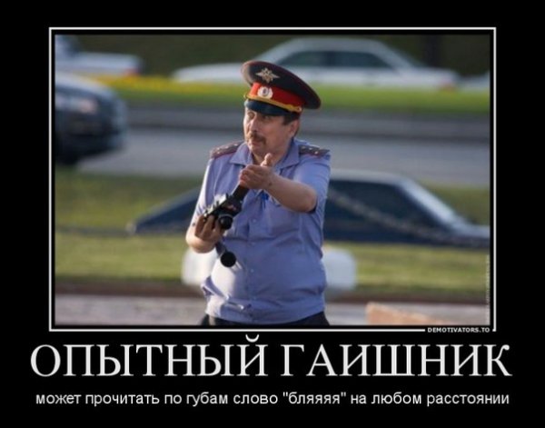 ГИБДД приколы