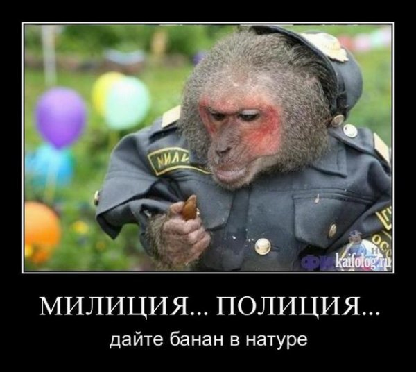С днем полиции демотиваторы