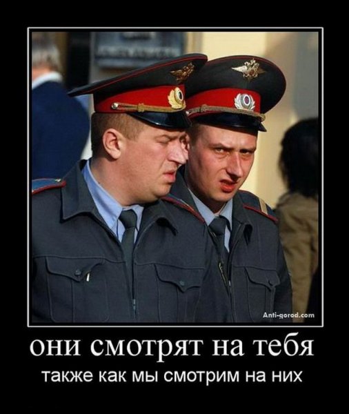 Демотиваторы про ментов смешные
