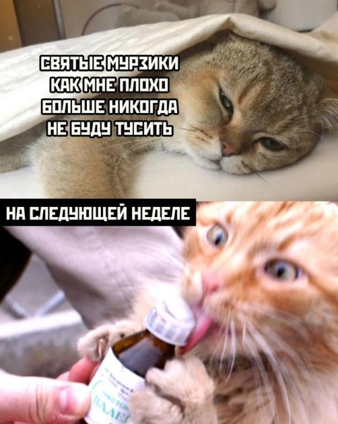 Смешные люди фото до слез
