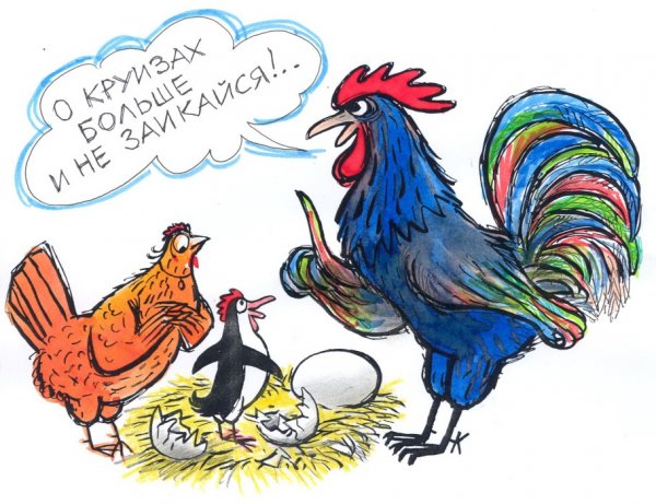 Куры карикатура