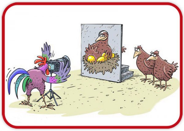 Карикатуры про птиц