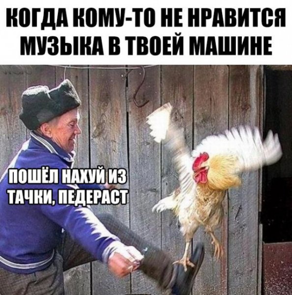 Смешные мемы с петухами