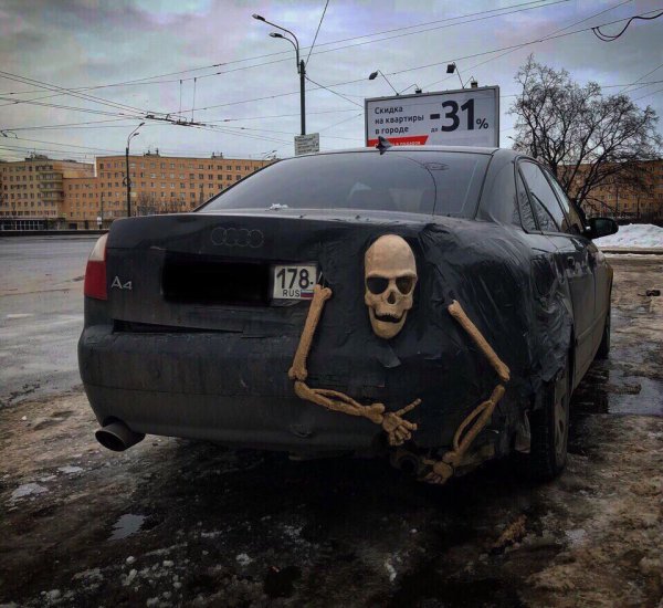 Медведь на прогулке