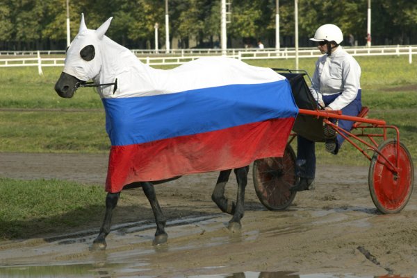 Красиво жить не запретишь юмор
