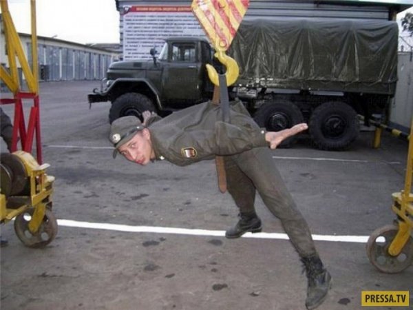 Пьяный медведь