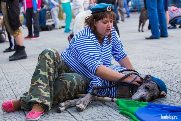 Приколы про Россию