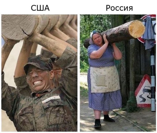 Дураки и дороги приколы