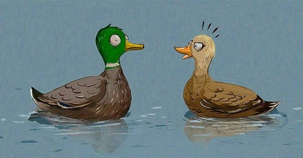 Шутка про уточку