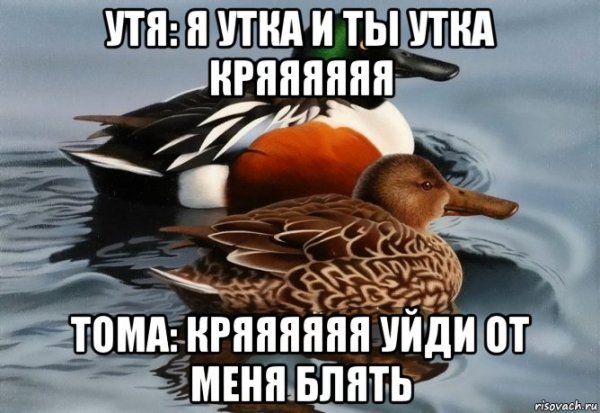Смешные мемы про уток