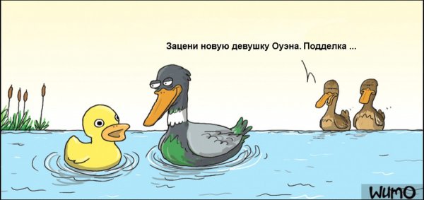 Приколы про утку
