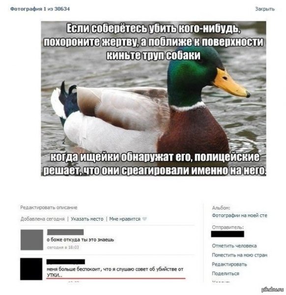 Шутка про уточку