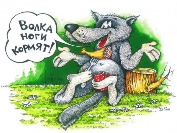 Волка ноги кормят