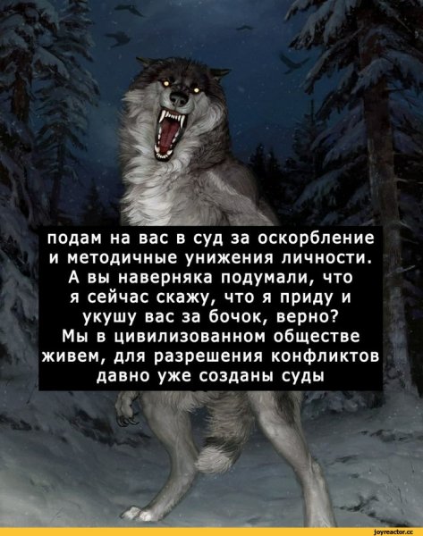 Цитаты Волков