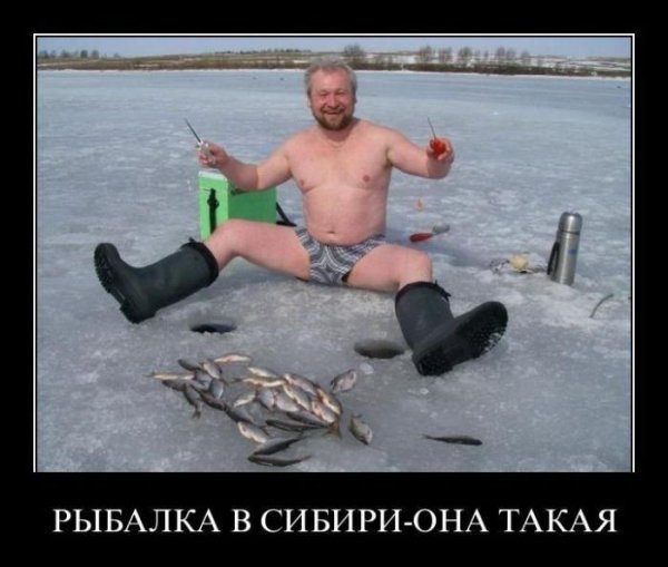 Шутки про рыбалку