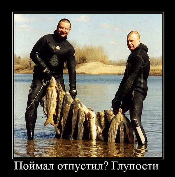 Девушки на рыбалке юмор