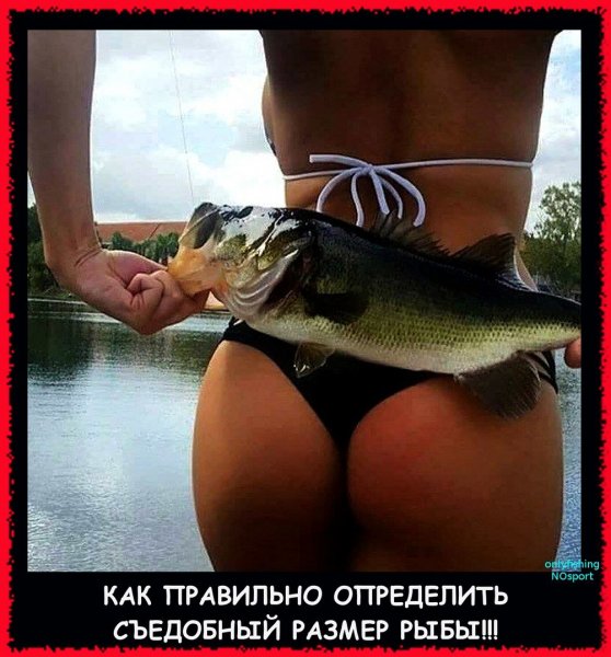 Смешной Рыбак