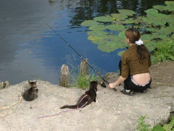 Очень много рыбы