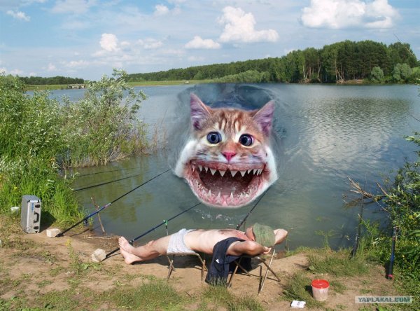Приколы на рыбалке