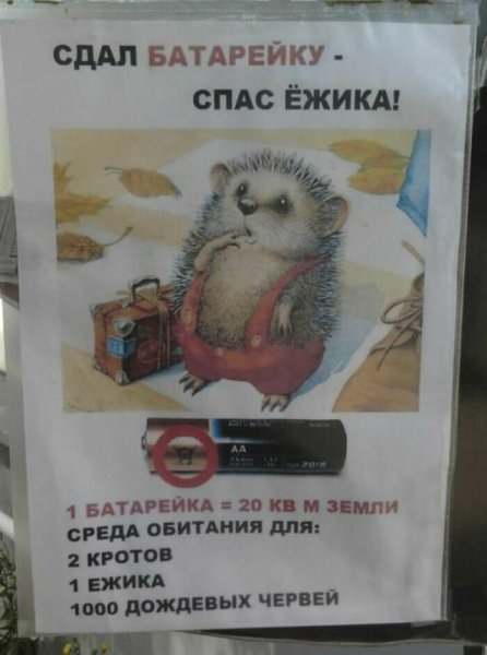 Шутки про ежика