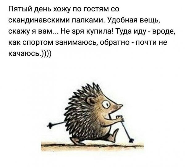 Анекдоты про ежей