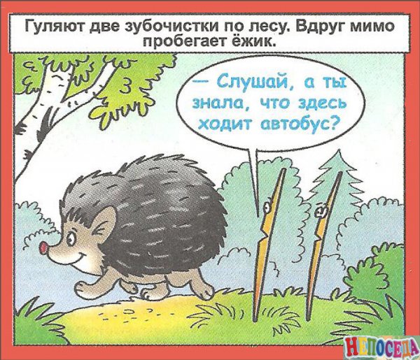 Смешные шутки про зверей
