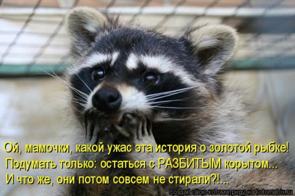 Доброе утро пятницы прикольные