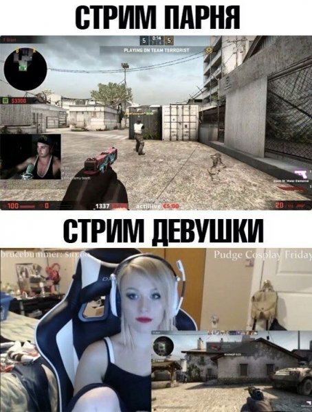 Мемы про стримы