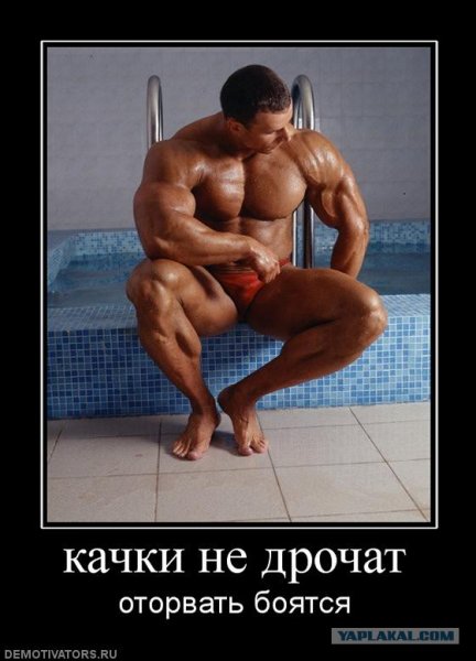 Демотиваторы про качков прикольные