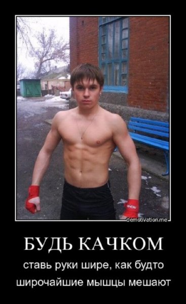 Демотиваторы про качков