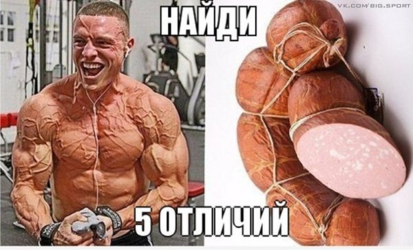 Качки и колбаса