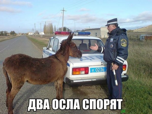 Осел ДПС