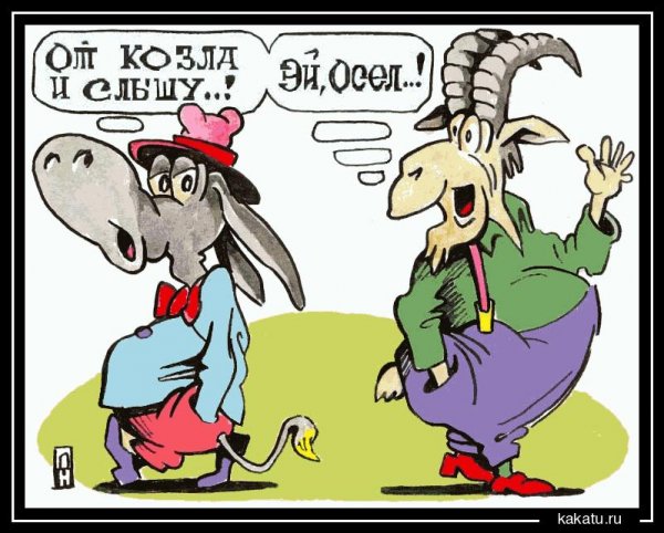 Осел карикатура