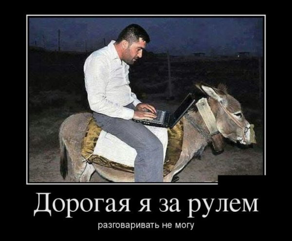 Шутки про ишака